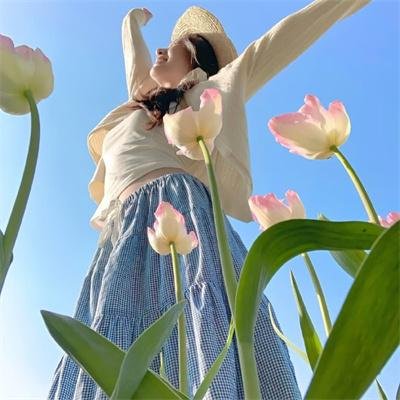 谍·莲花